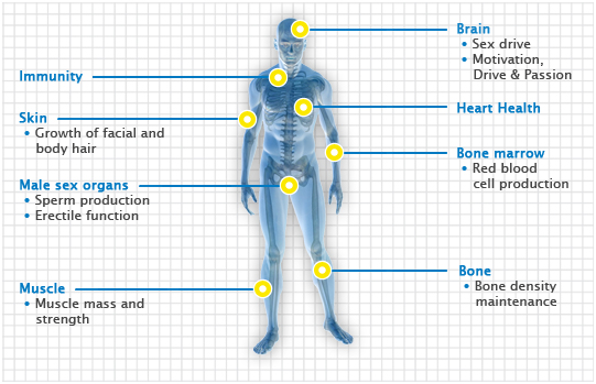 Testosterone map